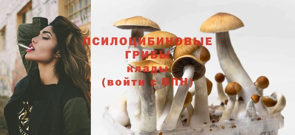 эйфоретик Костерёво