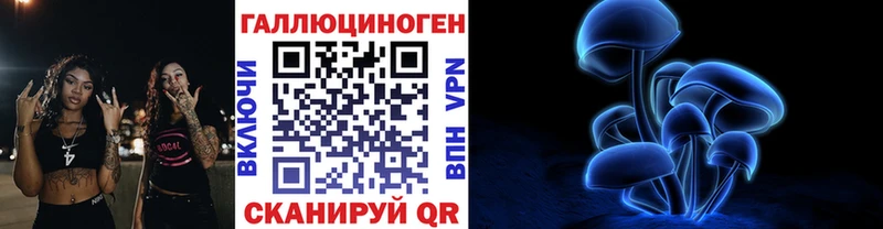 Псилоцибиновые грибы Psilocybine cubensis  Купить закладки  Апшеронск 